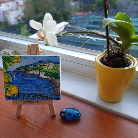 Tina Piano di Sorrento