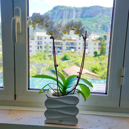 Tina Bed & Breakfast